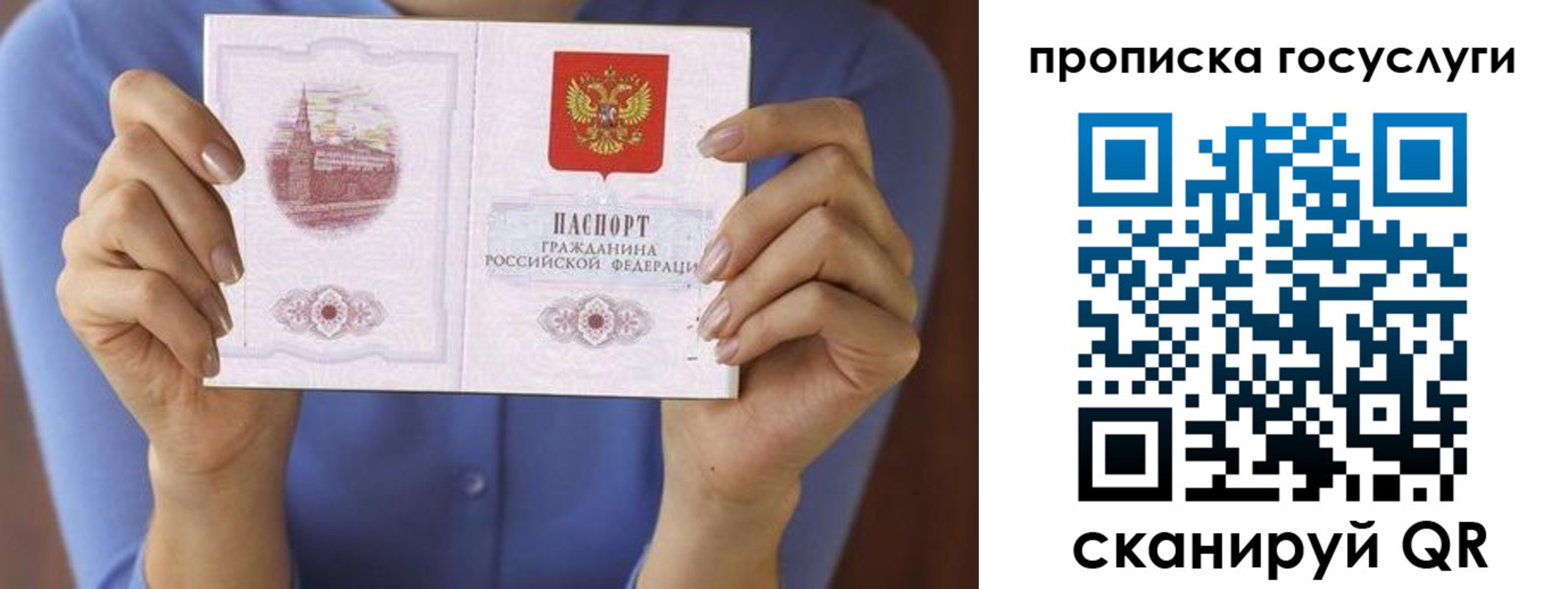 миграционный учет в Александрове
